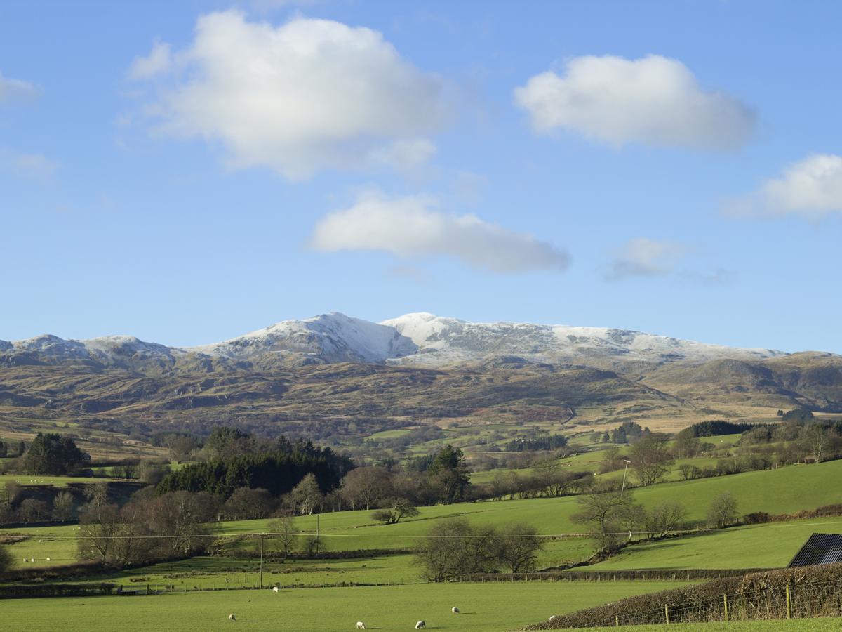 Cyffdy Cottage - Arenig Bala Bagian luar foto
